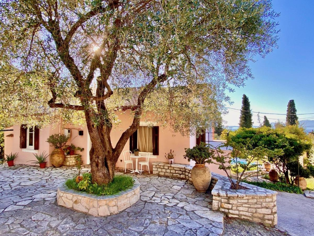 Villa Aliki Nissaki With Private Pool By Dadovillas نساكيون المظهر الخارجي الصورة